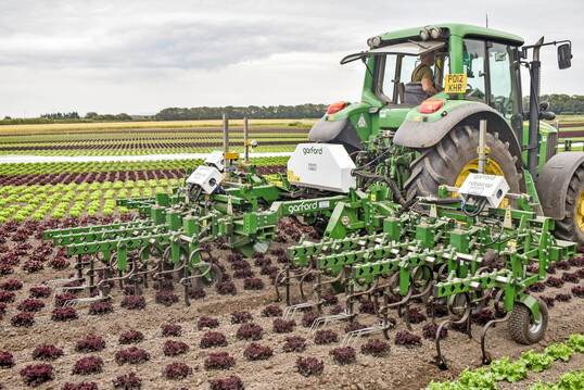 Der Robocrop AI von Garford ist mit einem modernen Bilderkennungssystem ausgestattet.