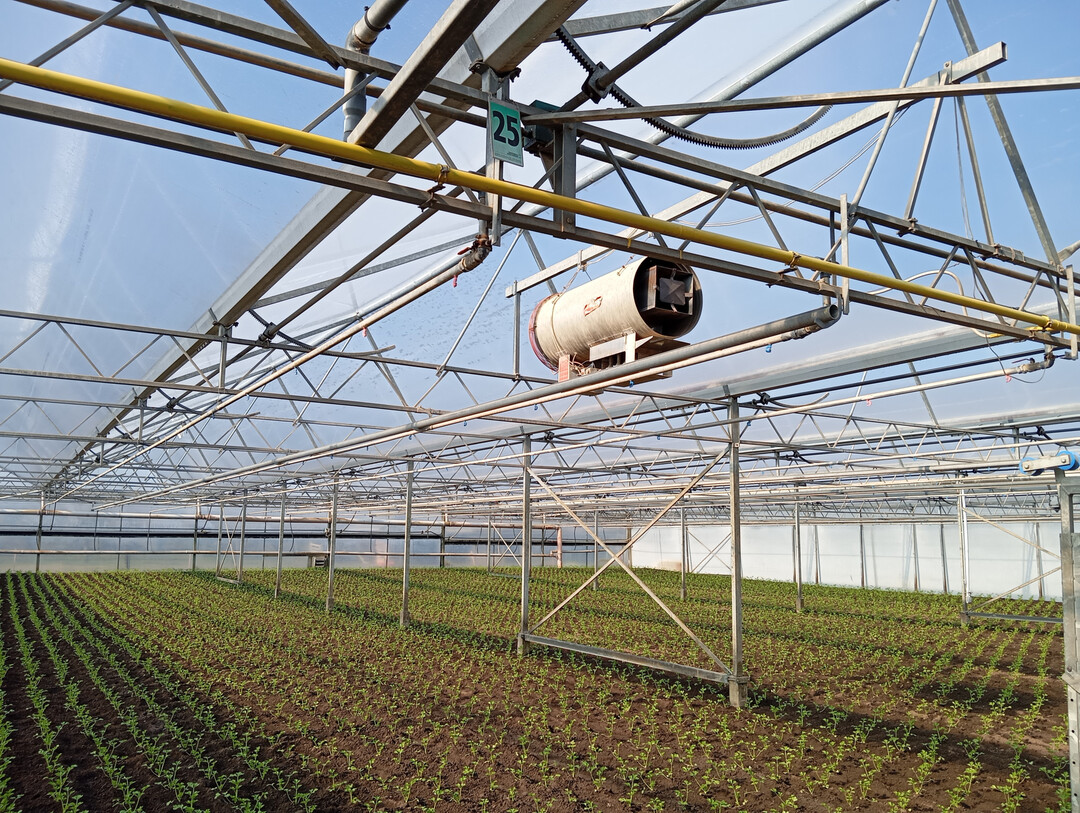 Im jetzt wieder aufgelegten Bundesprogramm Energieeffizienz wird unter anderem auch die energetische Sanierung von Gewächshäusern gefördert.