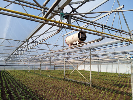 Im jetzt wieder aufgelegten Bundesprogramm Energieeffizienz wird unter anderem auch die energetische Sanierung von Gewächshäusern gefördert.