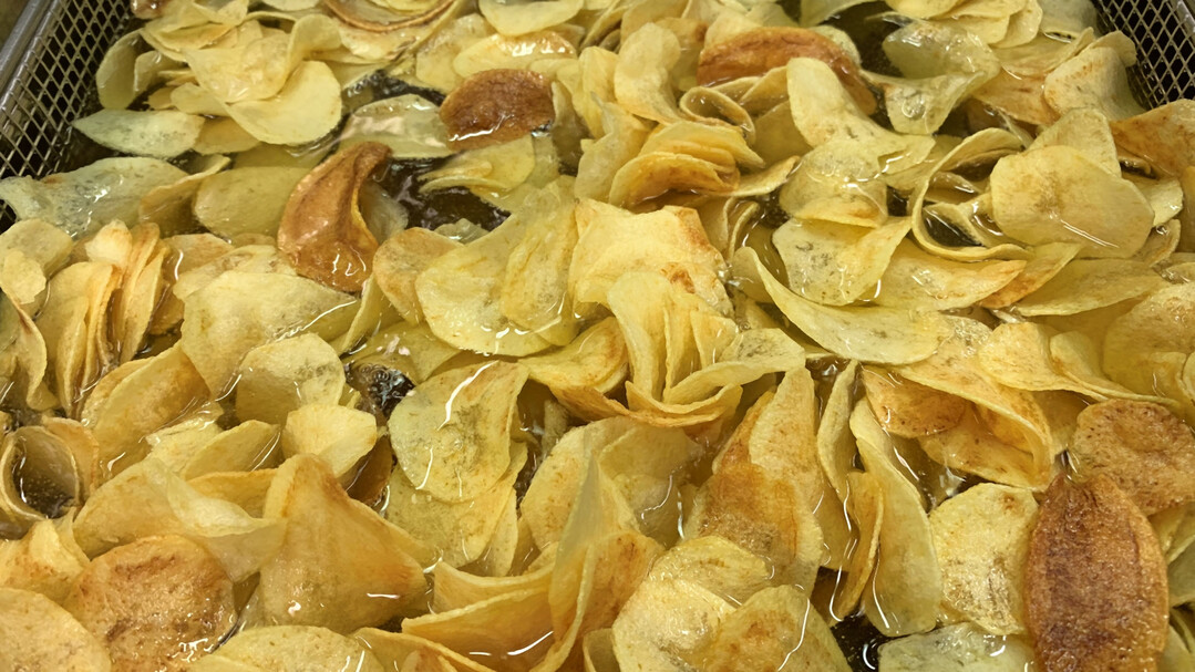 Am Agroscope werden regelmäßig Kartoffelsorten auf ihre Eigenschaften als Chips und Pommes Frites getestet.