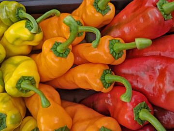 Paprika aus Deutschland wird von Verbrauchern oftmals als umweltfreundlicher eingesch�tzt als Ware aus Spanien.