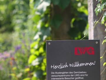 ffnet in diesem Jahr leider nicht seine Tore: Der LWG-Versuchsbetrieb fr Gemsebau in Bamberg.
