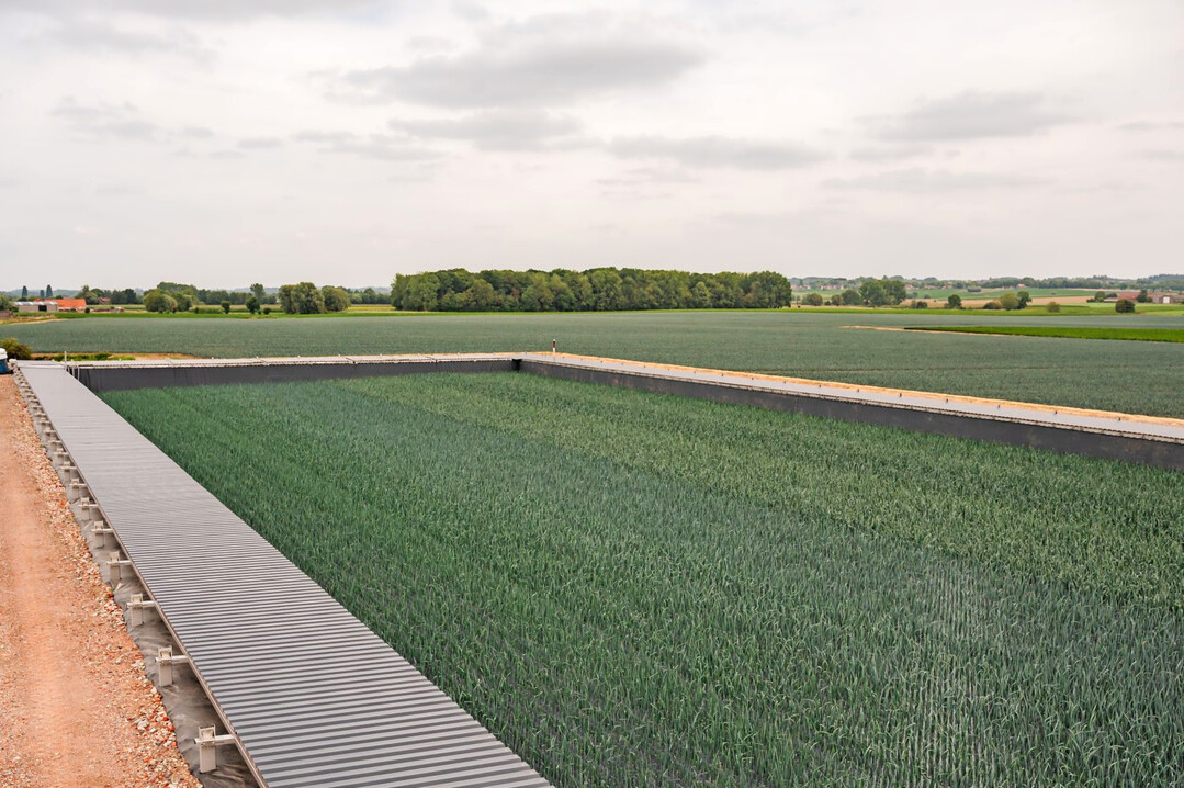 Auf 3000 m
2
Wasseroberfläche kann die gleiche Menge Porree pro Jahr angebaut werden wie auf 1,5 bis 2 ha Ackerfläche.