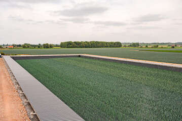 Auf 3000 m
2
 Wasseroberfl�che kann die gleiche Menge Porree pro Jahr angebaut werden wie auf 1,5 bis 2 ha Ackerfl�che. 