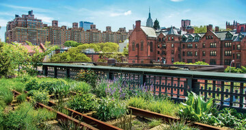 Selbstversorgung, Grtnern in der Stadt (Urban Gardening), wie hier auf einer
stillgelegten Gleisstrecke in New York, und das Angebot von Gemsegrten
als Pachtparzelle, die selbst beerntet wird, sind einer der Zukunftstrends.