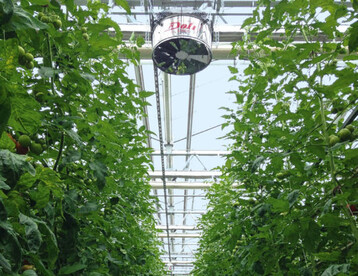 Vertikalventilatoren wirken der Inhomogenitt des Klimas entgegen