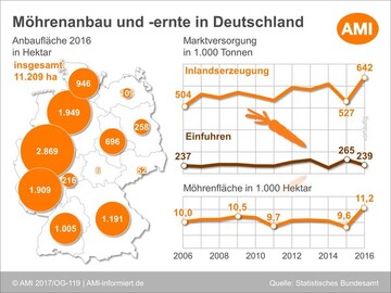 Die Grafik zeigt den Mhrenanbau und -ernte in Deutschland. 