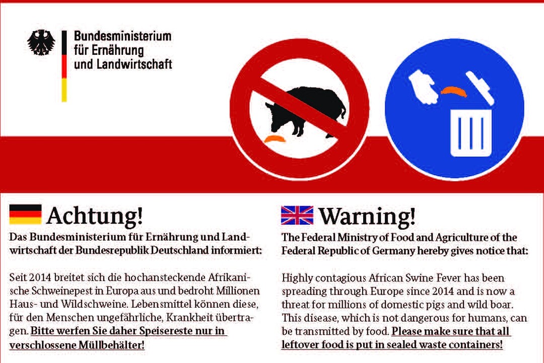 Auch Gemüseproduzenten können dazu beitragen, die Afrikanische Schweinepest in Deutschland zu verhindern. Merkblätter für Saisonarbeitskräfte sollen nun darauf hinweisen, mitgebrachte Lebensmittel richtig zu entsorgen.