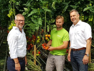 Von links: Bernd Grassel, Category Manager Rewe, Benjamin Wagner, Grtner/Betreiber des Bio-Gewchshauses, Johannes Bliestle, Geschftsfhrer Reichenau-Gemse eG. 