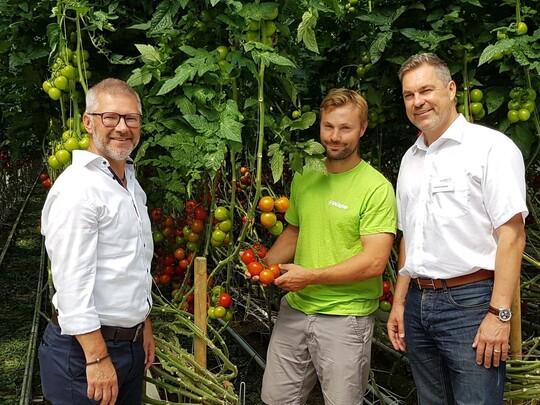 Von links: Bernd Grassel, Category Manager Rewe, Benjamin Wagner, Grtner/Betreiber des Bio-Gewchshauses, Johannes Bliestle, Geschftsfhrer Reichenau-Gemse eG. 