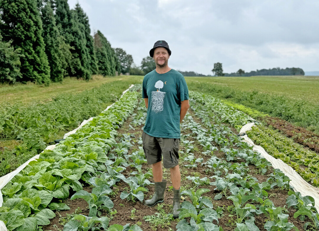Der Gemüsegarten von Paul Östreicher ist in Blöcken angelegt. Jeder Block ist von einem Blühstreifen eingerahmt.
