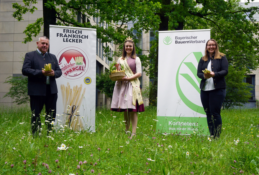    Die Frnkische Spargelknigin Christiane Reinhart (Mitte) und die Vorsitzende des Spargel-Erzeugerverbandes Franken Miriam Adel sind trotz des khlen Wetters zufrieden mit der Saison, wie sie dem Prsidenten des Bayerischen Bauernverbandes Walter Heidl berichten.  