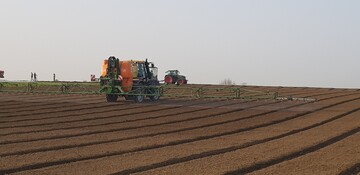 Die intensive Landwirtschaft mit Monokulturen und Einsatz von Pflanzenschutzmitteln macht aus so mancher harmlosen Wildpflanze ein hartnckiges Unkraut.