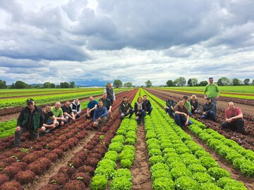 Die Salat-Saisonerffnung der sdhessischen Landwirte ist Anfang Mai zum ersten Mal zelebriert worden.