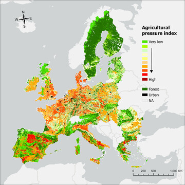 Vor allem die intensive Landwirtschaft setzt den Gewssern zu.