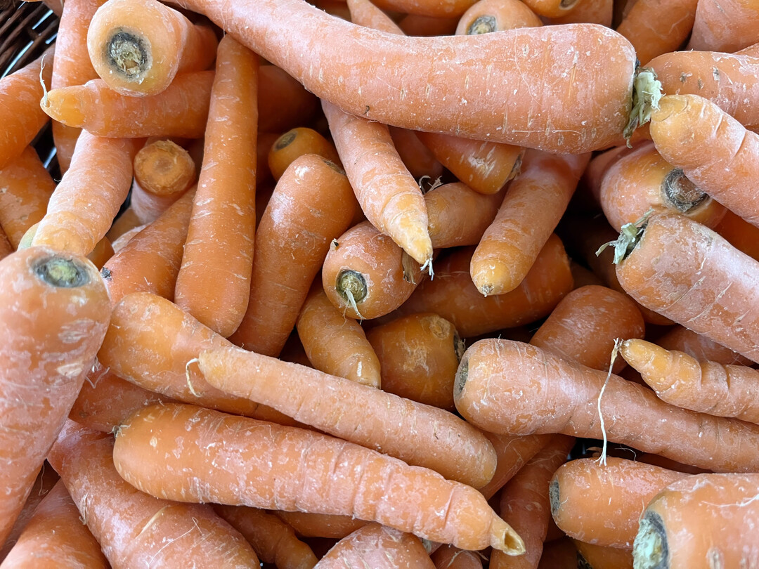 Möhrenreste können mithilfe von Pilzen zur Gewinnung schmackhafter Proteine beitragen.