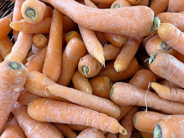 M�hrenreste k�nnen mithilfe von Pilzen zur Gewinnung schmackhafter Proteine beitragen.