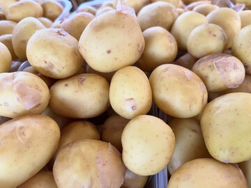 Die Schweizer Sortenliste f�r Kartoffeln 2026 beinhaltet insgesamt 76 Sorten.