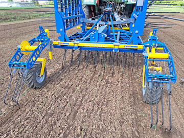 Striegel der Firma Treffler während des intensiven Bearbeitungsgangs in der jungen Säzwiebel.