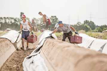Bei der Besch�ftigung ausl�ndischer Saisonarbeitskr�fte m�ssen Betriebe zahlreiche Vorschriften aus dem Arbeits-, Steuer- und Sozialrecht beachten.