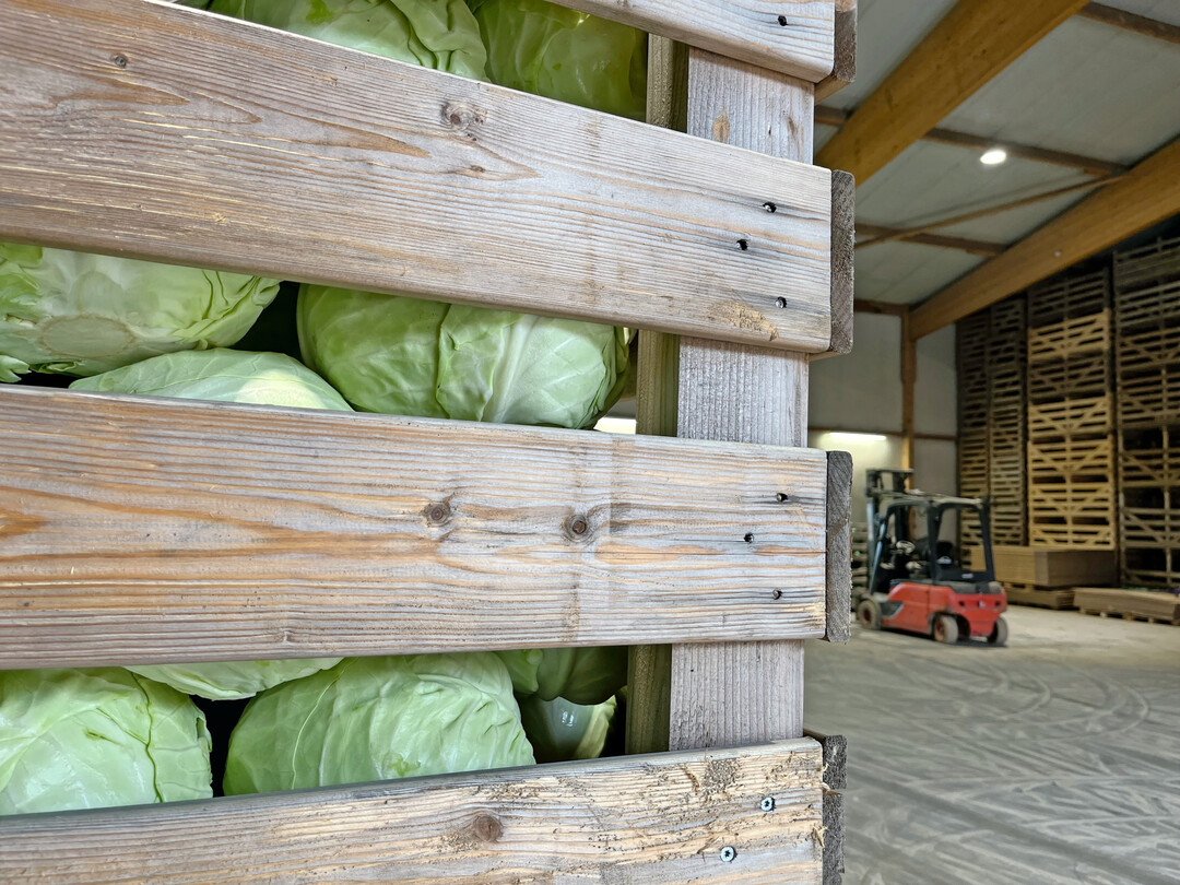 Die Produzenten von Vertragsgem�se erwarten ein Entgegenkommen der Verarbeiter, um weiter Kohl und andere Gem�searten wirtschaftlich anbauen zu k�nnen.