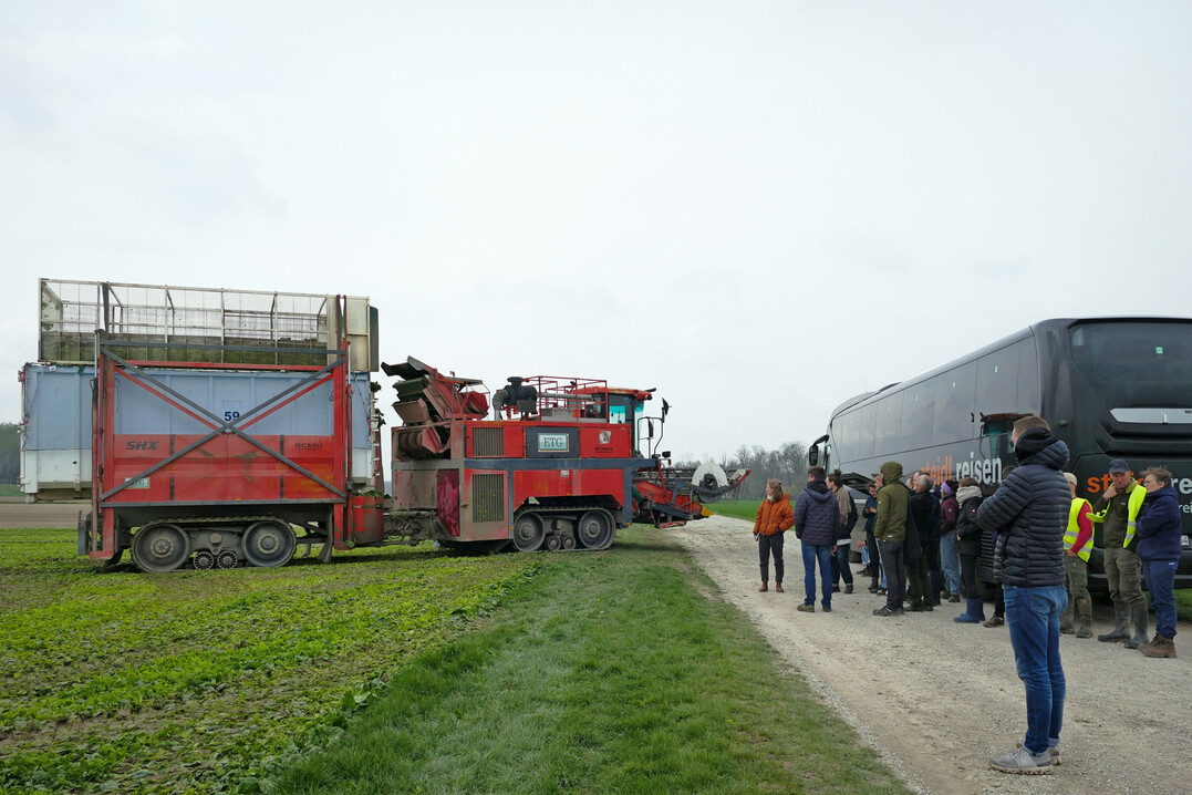 Spinat-Vollernter trifft Reisebus: Die Dimensionen der Erntemaschine �berraschten sogar den Busfahrer der Reisegruppe aus F�rth.