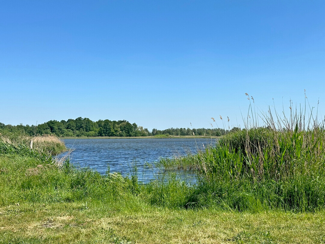 Wie gut Modelle das Risiko von Pflanzenschutzmitteln f�r aquatische �kosysteme vorhersagen k�nnen, haben Forschende an der Uni Osnabr�ck untersucht.