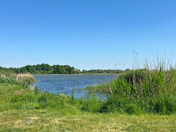Wie gut Modelle das Risiko von Pflanzenschutzmitteln f�r aquatische �kosysteme vorhersagen k�nnen, haben Forschende an der Uni Osnabr�ck untersucht.