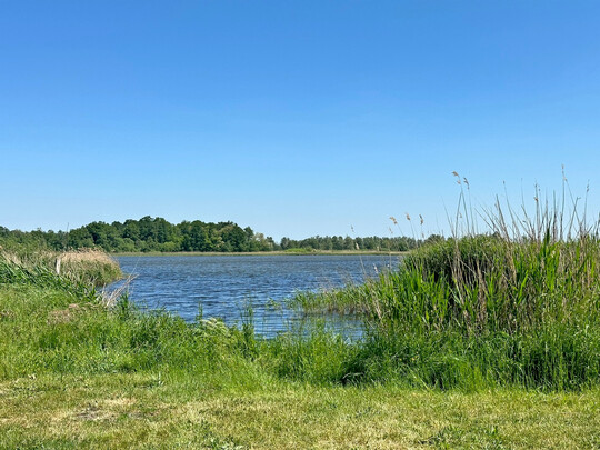 Wie gut Modelle das Risiko von Pflanzenschutzmitteln f�r aquatische �kosysteme vorhersagen k�nnen, haben Forschende an der Uni Osnabr�ck untersucht.