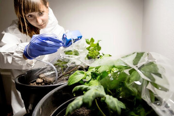 Doktorandin Sarah Vermeeren nahm in einem Quarantäneraum am Standort Rheinbach etwa 200 Messungen vor.