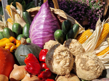 Wie steht es um den Selbstversorgungsgrad von Obst und Gem�se in Deutschland?