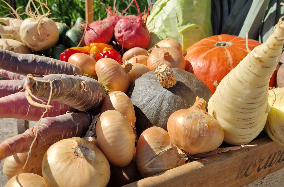 2025 wurde in Deutschland so viel Gem�se geerntet wie in keinem Jahr zuvor seit Erhebung der Daten im Jahr 1990.