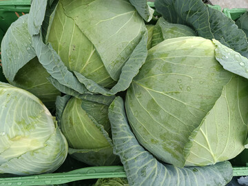 Die Ernte von Wei�- und Rotkohl lag 2025 deutlich �ber dem zehnj�hrigen Mittel.