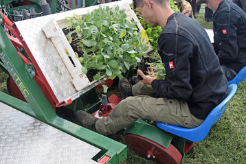 Eine Ausnahme beim Mindestlohn f�r Saisonarbeitskr�fte in der Landwirtschaft ist grunds�tzlich zul�ssig, wie ein aktuelles Rechtsgutachten zeigt.