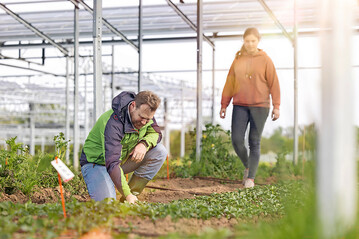 Agri-Photovoltaik kombiniert Solarenergie und Landwirtschaft auf derselben Fl�che. Die Solarmodule stehen dabei so, dass darunter oder dazwischen weiter Landwirtschaft m�glich ist � zum Beispiel Ackerbau, Obstbau oder Gem�seanbau.