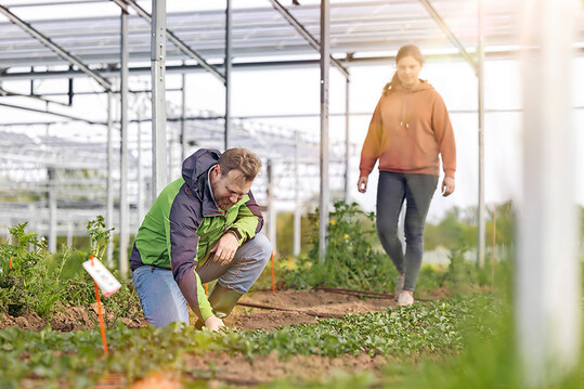 Agri-Photovoltaik kombiniert Solarenergie und Landwirtschaft auf derselben Fl�che. Die Solarmodule stehen dabei so, dass darunter oder dazwischen weiter Landwirtschaft m�glich ist � zum Beispiel Ackerbau, Obstbau oder Gem�seanbau.