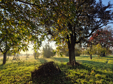In Gemeinden, die nicht ausreichend mit Kleinstrukturen ausgestattet sind, müssen spezielle Auflagen beim Pflanzenschutz erfüllt werden.