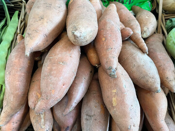 Für Süßkartoffeln und andere Gemüsekulturen in der Schweiz gibt es jetzt spezialisierte Düngeempfehlungen.