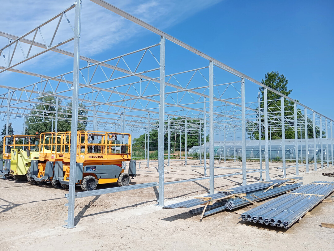 Der Unterglas-Gem�sebau ist energieintensiv und ben�tigt dringend Entlastungen bei der CO
<sub>2</sub>
-Bepreisung.