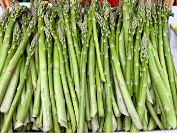 Die Automatisierung der Ernte eignet sich besonders f�r gr�nen Spargel. Nun arbeitet auch die TU M�nchen an einem entsprechenden Ernteroboter.