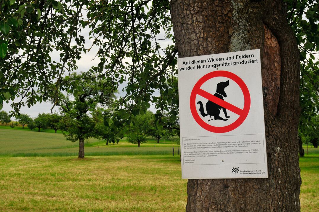 Kein Hundekot auf Wiese und Grünland. Infomaterial soll Spaziergänger und Hundehalter auf ein respektvolles Miteinander mit der Landwirtschaft hinweisen.
