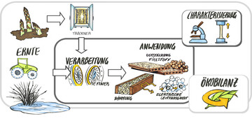 Von der Ernte bis zur Ökobilanz: Landwirtschaftliche Reststoffe bieten viel Potenzial als biogene Rohstoffe für die Kunststoffindustrie.