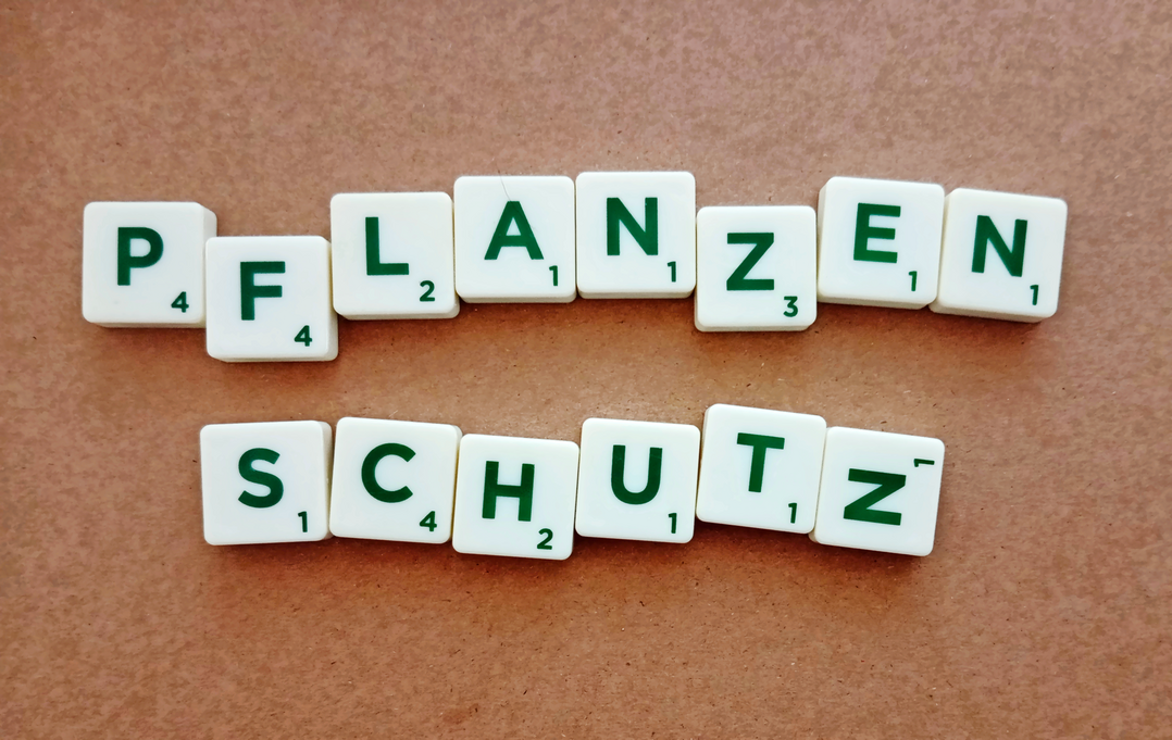 Im November und Dezember wurden wieder mehrere Notfallzulassungen bekannt gegeben.