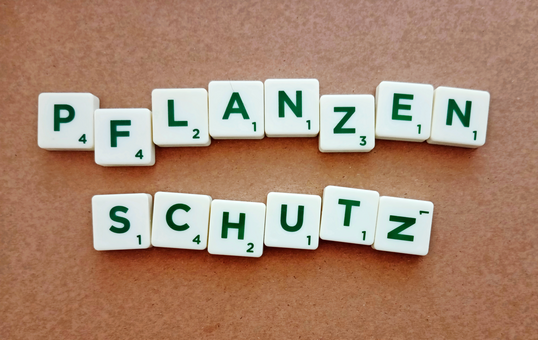 Im November und Dezember wurden wieder mehrere Notfallzulassungen bekannt gegeben.