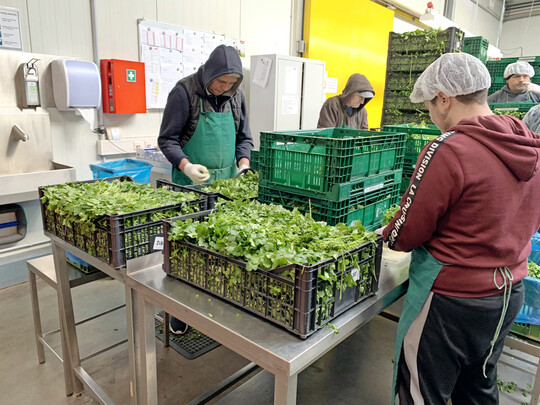 Mindestlohn-Ausnahmen f�r Saisonarbeitskr�fte sind rein rechtlich gesehen m�glich und auch n�tig.