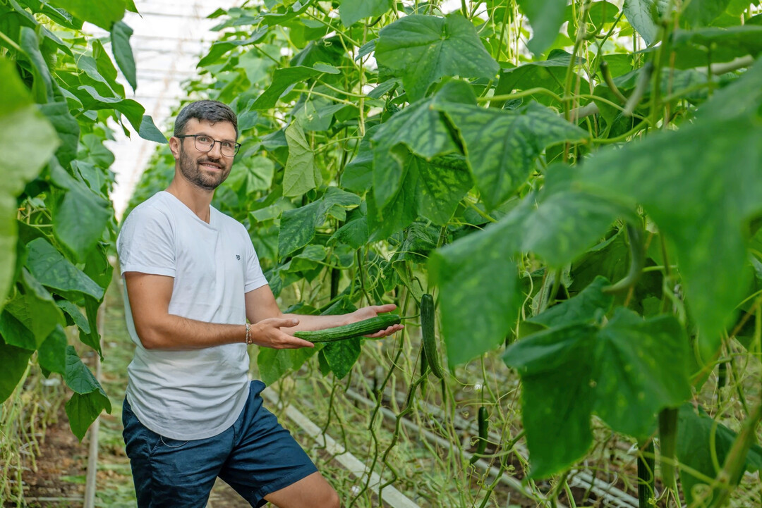 Max Meissner produziert Gurken, Tomaten, Paprika und Auberginen f�r Alnatura. Er ist der gr��te deutsche Bio-Fruchtgem�selieferant der Kette.