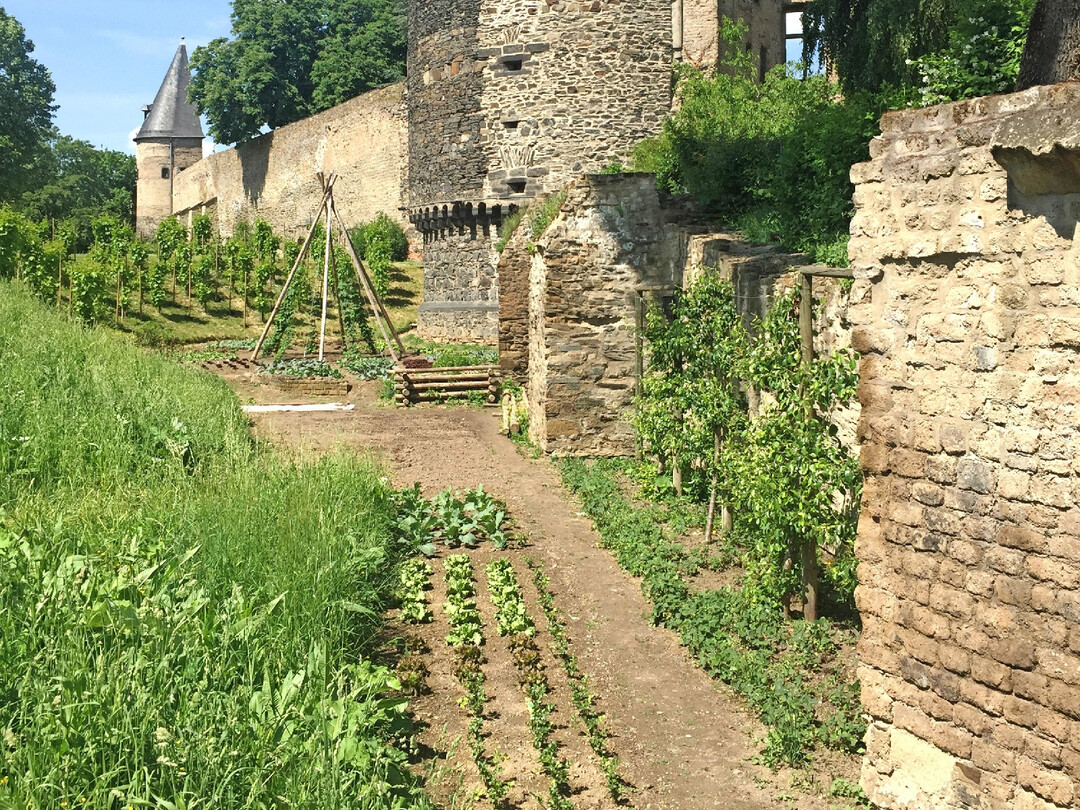 Impression aus der �Essbaren Stadt� Andernach. 
Beete entlang der Stadtmauer.
