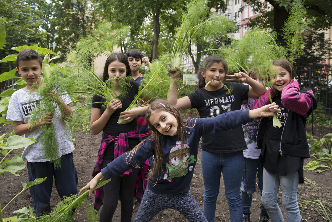 Noch sind Pltze frei beim Programm "GemseKlasse". Interessierte Schulen knnen sich noch bis 22. Februar bewerben.