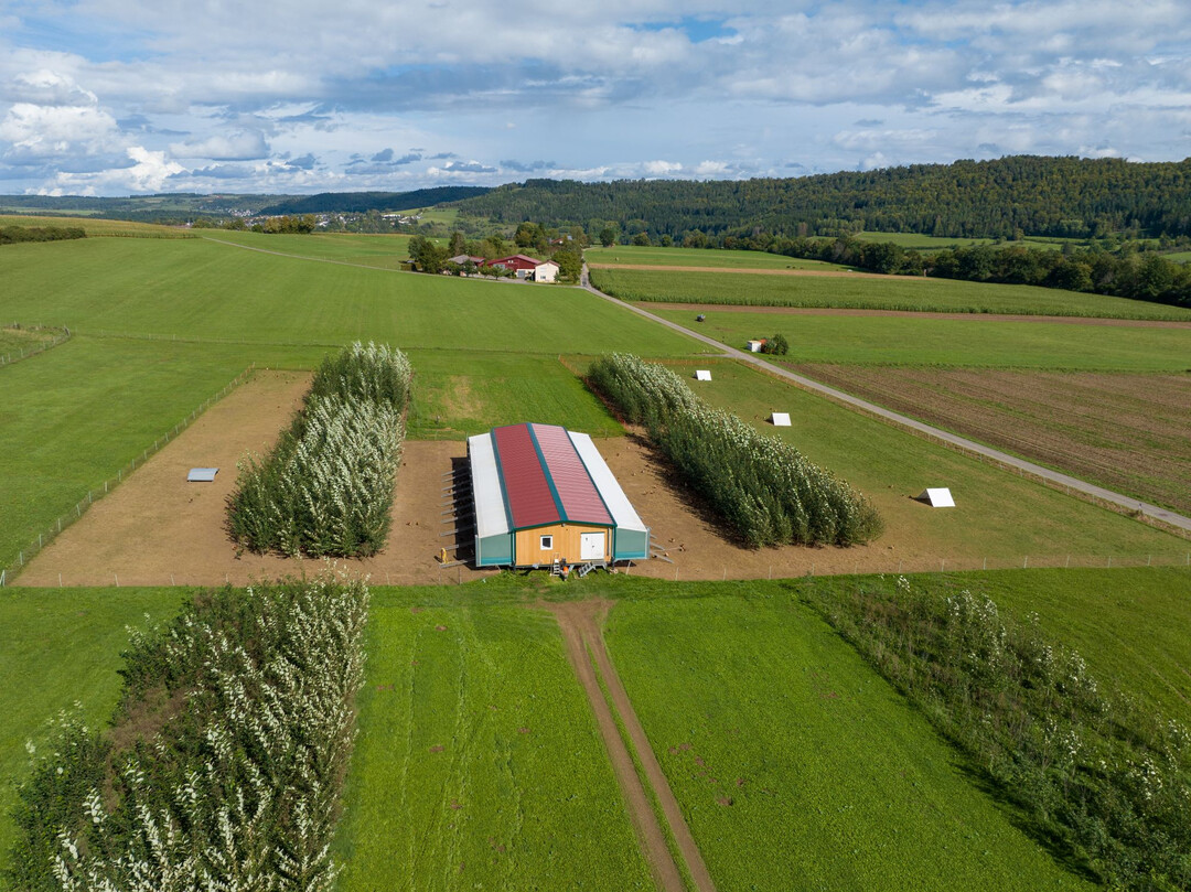Bis zu zehn landwirtschaftliche Betriebe knnen am Agroforst-Projekt des Naturparks Schwarzwald Mitte/Nord teilnehmen.