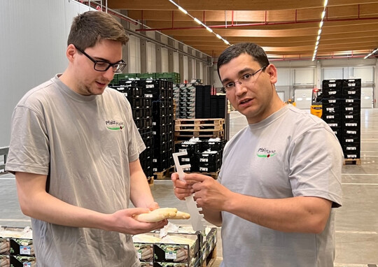 Dass erntefrischer Spargel aus der Pfalz immer gefragt ist, bestätigen auch Leo Zastrow und Hugo Da Mota (rechts). Die beiden Vertriebsprofis aus dem Spargelbüro sorgen im Team mit den Kommissionierern und QS-Mitarbeitern dafür, dass die Kundenzufriedenheit über die Saison passt.